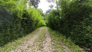 Fazenda / Sítio / Chácara com 3 Quartos à venda, 20000m² no , Carmo do Cajuru - Foto 8