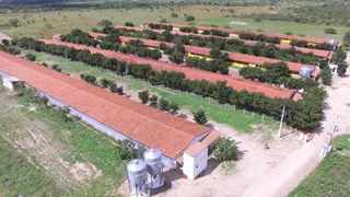 Fazenda / Sítio / Chácara com 3 Quartos à venda, 8m² no , Pocinhos - Foto 33