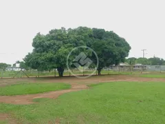 Fazenda / Sítio / Chácara com 3 Quartos à venda, 300m² no Panorama, Uberlândia - Foto 6