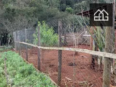 Fazenda / Sítio / Chácara com 2 Quartos à venda, 100m² no Sao Joao d Oeste, Cascavel - Foto 11