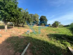Fazenda / Sítio / Chácara com 3 Quartos à venda, 230m² no Zona Rural, São Sebastião do Oeste - Foto 80