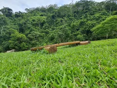 Terreno / Lote / Condomínio à venda, 20100m² no , Coronel Pacheco - Foto 11