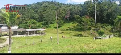 Fazenda / Sítio / Chácara com 2 Quartos à venda, 150m² no Capoeirinha, Guararema - Foto 10