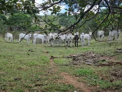 Fazenda / Sítio / Chácara com 3 Quartos à venda, 14000000m² no Area Rural de Caruaru, Caruaru - Foto 29
