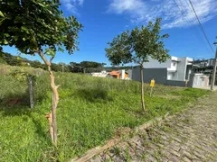 Terreno / Lote / Condomínio à venda, 720m² no Santa Catarina, Caxias do Sul - Foto 5