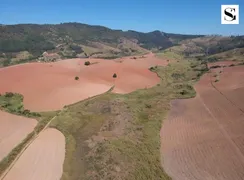 Fazenda / Sítio / Chácara com 4 Quartos à venda, 5000m² no Zona Rural, Serra Negra - Foto 20