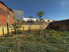 Casa com 5 Quartos à venda, 340m² no Parque Industrial Tanquinho, Ribeirão Preto - Foto 13