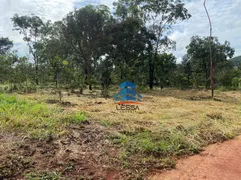 Terreno / Lote / Condomínio à venda, 5000m² no , Hidrolândia - Foto 4