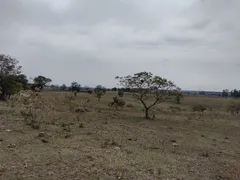 Fazenda / Sítio / Chácara à venda, 31000m² no Zona Rural, Porangaba - Foto 2