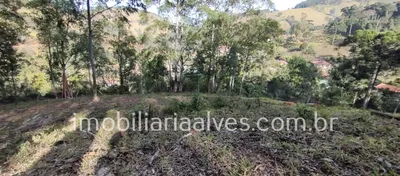 Terreno / Lote / Condomínio à venda, 37000m² no Zona Rural, Virgínia - Foto 31