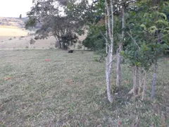 Fazenda / Sítio / Chácara à venda, 193600m² no Centro, São Miguel Arcanjo - Foto 5