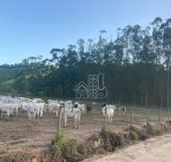 Fazenda / Sítio / Chácara com 3 Quartos à venda, 1000m² no Boa Esperança, Rio Bonito - Foto 10