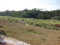 Terreno / Lote / Condomínio à venda, 1255m² no Alto da Ponte, São José dos Campos - Foto 3