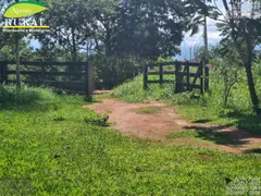 Fazenda / Sítio / Chácara com 2 Quartos à venda, 20000m² no Zona Rural, Bela Vista de Goiás - Foto 10