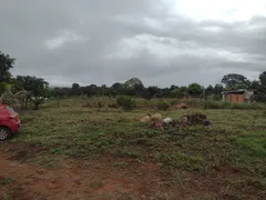 Fazenda / Sítio / Chácara com 3 Quartos à venda, 20000m² no Area Rural do Paranoa, Brasília - Foto 26