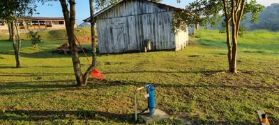 Fazenda / Sítio / Chácara com 3 Quartos à venda, 10000m² no Rancho Alegre, Campina Grande do Sul - Foto 4
