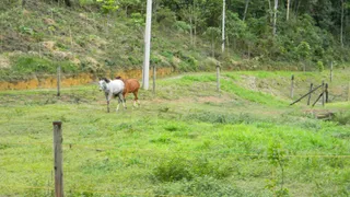 Terreno / Lote / Condomínio à venda, 123024m² no , Mendes - Foto 13