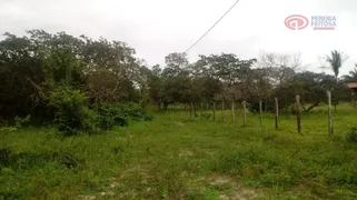 Terreno / Lote Comercial para alugar, 30000m² no Vila Maranhão, São Luís - Foto 4