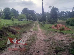 Fazenda / Sítio / Chácara com 2 Quartos à venda, 49900m² no Lagoinha, Tijucas do Sul - Foto 5