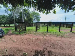 Fazenda / Sítio / Chácara com 3 Quartos para alugar, 6000m² no Area Rural de Uberlandia, Uberlândia - Foto 53