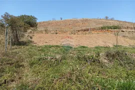 Terreno / Lote / Condomínio à venda, 1000m² no Centro, Chácara - Foto 11