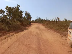 Fazenda / Sítio / Chácara com 1 Quarto à venda, 61000000m² no Vale do Sol, Campo Verde - Foto 12