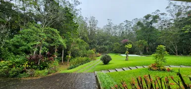 Fazenda / Sítio / Chácara com 5 Quartos à venda, 300m² no Bingen, Petrópolis - Foto 3