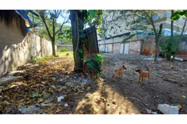 Terreno / Lote Comercial à venda, 600m² no Recreio Dos Bandeirantes, Rio de Janeiro - Foto 9