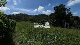 Fazenda / Sítio / Chácara com 12 Quartos à venda, 2000m² no MOMBUCA, Itatiba - Foto 58