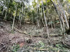 Terreno / Lote / Condomínio à venda, 5115m² no Estância Piratininga, Suzano - Foto 4