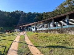 Fazenda / Sítio / Chácara com 7 Quartos à venda, 3000m² no Areal, Areal - Foto 37