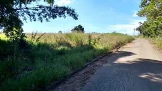 Fazenda / Sítio / Chácara à venda, 20000m² no Jardim dos Lopes, Limeira - Foto 5