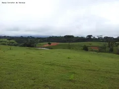 Fazenda / Sítio / Chácara com 3 Quartos à venda, 915000m² no Campina, Tijucas do Sul - Foto 3