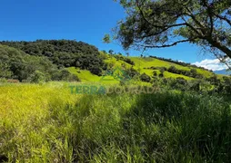 Terreno / Lote / Condomínio à venda, 3000m² no Centro, São Bento do Sapucaí - Foto 5