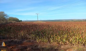 Terreno / Lote Comercial à venda, 300m² no Area Rural de Cidade Ocidental, Cidade Ocidental - Foto 1