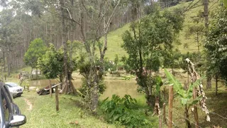 Fazenda / Sítio / Chácara com 2 Quartos à venda, 240000m² no Pouso Alto, Natividade da Serra - Foto 31