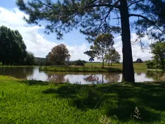 Fazenda / Sítio / Chácara com 3 Quartos à venda, 330000m² no Zona Rural, Três Coroas - Foto 7