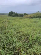 Fazenda / Sítio / Chácara com 4 Quartos à venda, 40000m² no Zona Rural, Monte Alegre - Foto 8