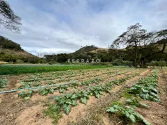 Fazenda / Sítio / Chácara com 4 Quartos à venda, 571725m² no Providencia, Teresópolis - Foto 21