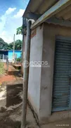 Fazenda / Sítio / Chácara com 5 Quartos à venda, 250m² no Area Rural de Araguari, Araguari - Foto 5