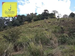 Fazenda / Sítio / Chácara à venda, 100000m² no , Coronel Pacheco - Foto 19