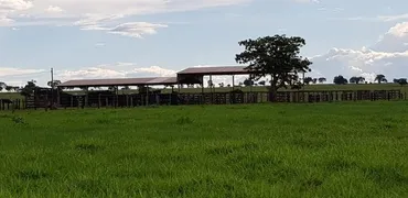 Fazenda / Sítio / Chácara com 6 Quartos à venda, 612m² no Centro, Nova Xavantina - Foto 19