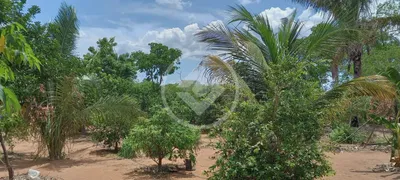 Fazenda / Sítio / Chácara à venda, 4m² no , Barão de Melgaço - Foto 7