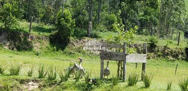 Fazenda / Sítio / Chácara à venda, 100m² no Timbe, Tijucas - Foto 6