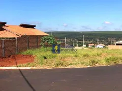 Terreno / Lote / Condomínio à venda, 218m² no , São Simão - Foto 2