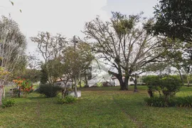 Fazenda / Sítio / Chácara com 2 Quartos à venda, 16680m² no Chacrinha Nossa Senhora do Rocio, Campo Largo - Foto 19