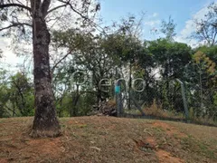 Terreno / Lote / Condomínio à venda, 20395m² no Jardim Martinelli, Campinas - Foto 10