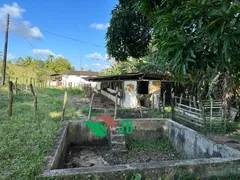 Fazenda / Sítio / Chácara com 3 Quartos à venda, 70000m² no Povoado, Pedras de Fogo - Foto 4