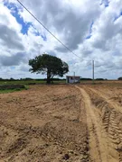 Fazenda / Sítio / Chácara com 3 Quartos à venda, 13500m² no Zona Rural, Monte Alegre - Foto 12