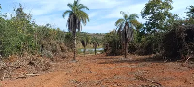 Terreno / Lote / Condomínio à venda, 20000m² no Sao Vicente, Baldim - Foto 18